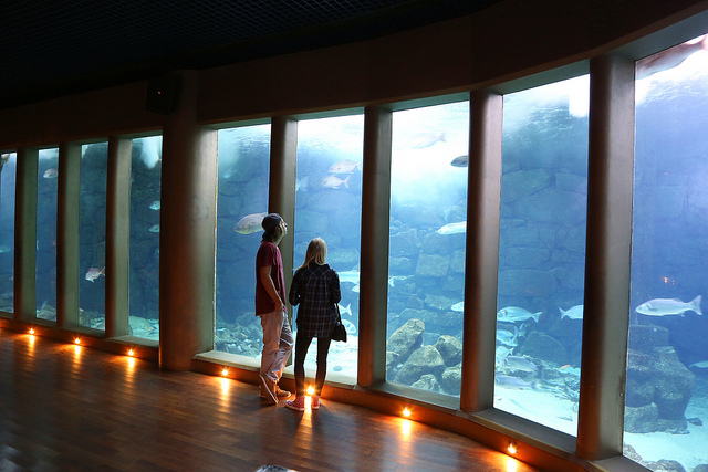 Aquarium La Coruña