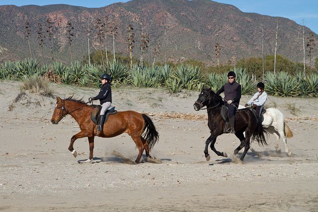 Horseriding Almería