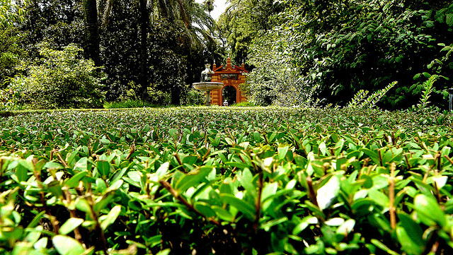 Parque de Maria Luisa Sevilla