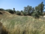 AYZABP411_9926_V0_4EDF.jpg