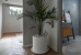 AVXADP2041_95397_V0_76EB.jpg