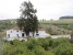 AYZABP545_13737_V0_E95F.jpg
