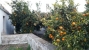 AYZABP545_13742_V0_8750.jpg