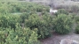 AYZABP545_13747_V0_09C2.jpg