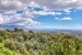 ABMAIP3245_86463_V0_7892.jpg