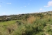 5-3595ad71cbd87be6c3643a4285ef4791.jpg