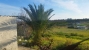 20-d1f7658cbe4ba6cd8666fec30fba80ad.jpg