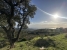 20-d1f7658cbe4ba6cd8666fec30fba80ad.jpg