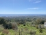 6-241328e1bcc9c0d8ce1222beb6c967a8.jpg