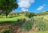 29-7c2f312881aea9bbe9ddaeb9640e2c9a.jpg