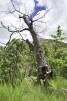 20-d1f7658cbe4ba6cd8666fec30fba80ad.jpg