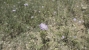 7-aa4cc561180b369757c0bb4af9886cd3.jpg