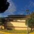 8-e64a9055bba3e77ac8aca3b893cdf826.jpg