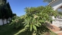 29-7c2f312881aea9bbe9ddaeb9640e2c9a.jpg