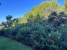 4-c23c0f86247804fa50226aecd8b0b2c8.jpg