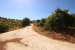 3-e898b2bb2a2fdfd06d2c39894dce8316.jpg