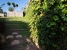 31-5e8b9eb86a2d455eeaf43a7bbf3ccd12.jpg